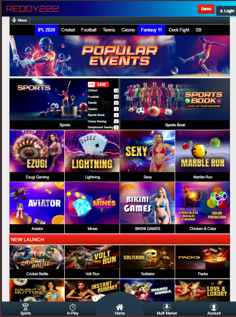 Reddy222 India - official website for Indian players. Full review about bookmaker.